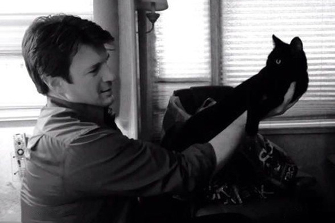 Nathan Fillion and his cat