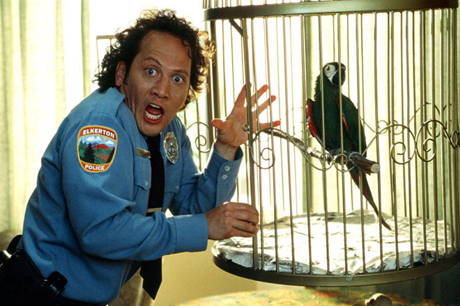 Rob Schneider in the picture The Animal