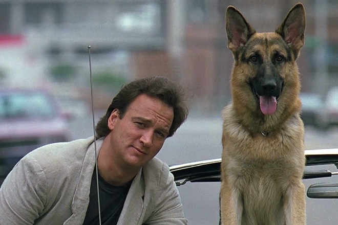 James Belushi in the picture K-9