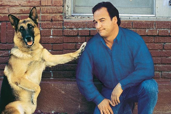 James Belushi in the picture K-911