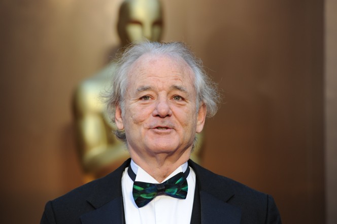 The actor Bill Murray
