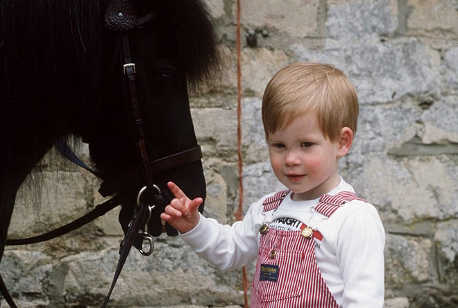 Prince Harry in his childhood