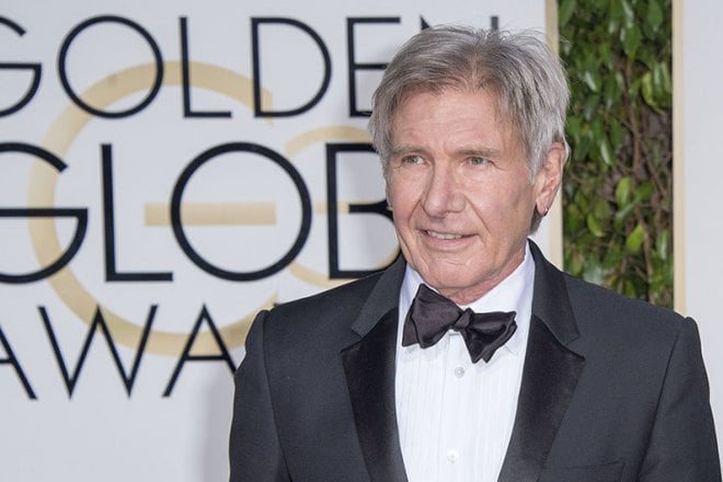 The actor Harrison Ford