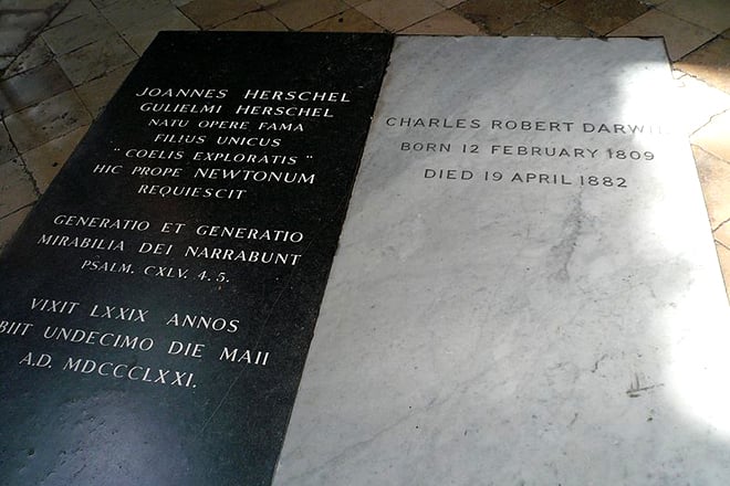 The tomb of Charles Darwin