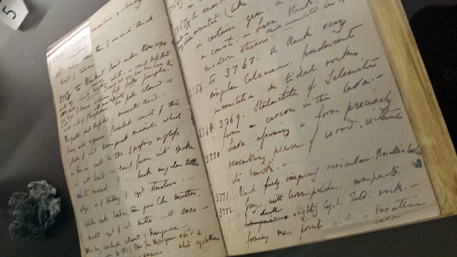 Charles Darwin's journal