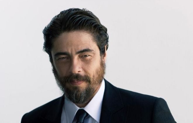 The actor Benicio Del Toro