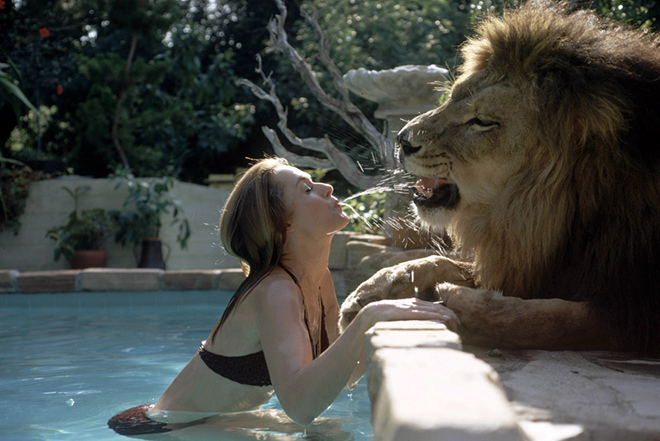 Melanie Griffith in the picture Roar