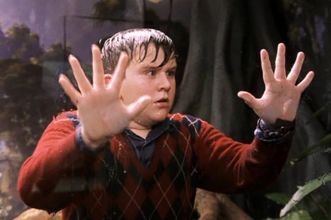 Harry Melling as Dudley Dursley