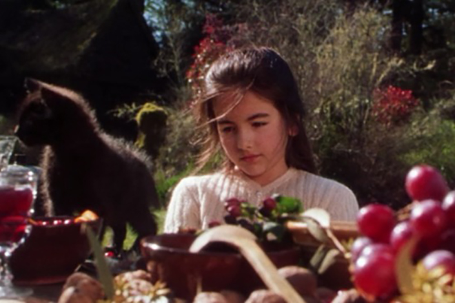 Camilla Belle in the movie Practical Magic
