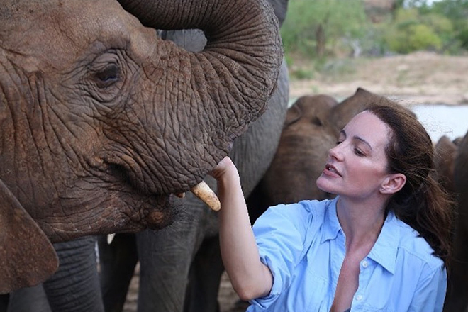 Kristin Davis loves elephants
