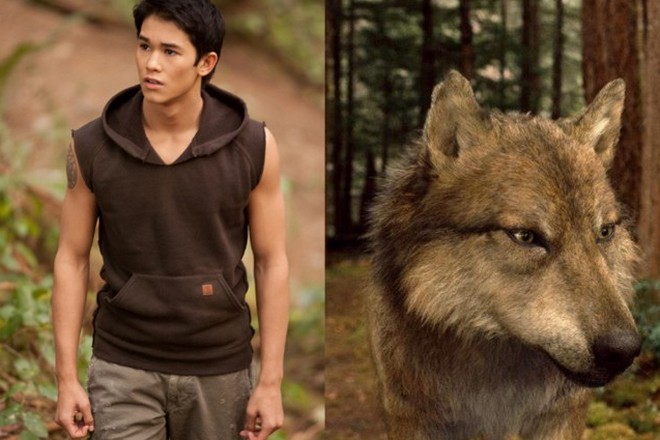Booboo Stewart as Seth in the image of the wolf / The shot from the movie T...