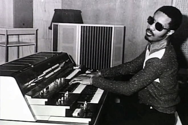 The musician Stevie Wonder