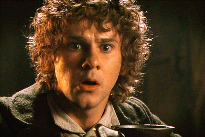 Dominic Monaghan in the movie The Lord of the Rings