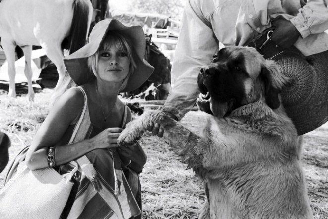 Brigitte Bardot with a dog