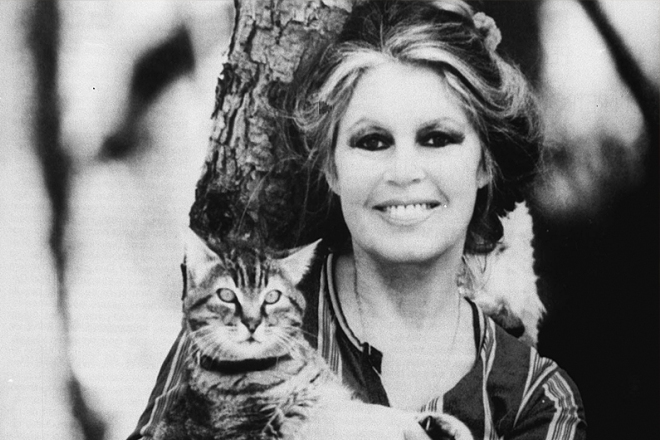 Brigitte Bardot with a cat