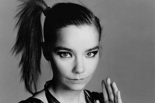 Young Björk