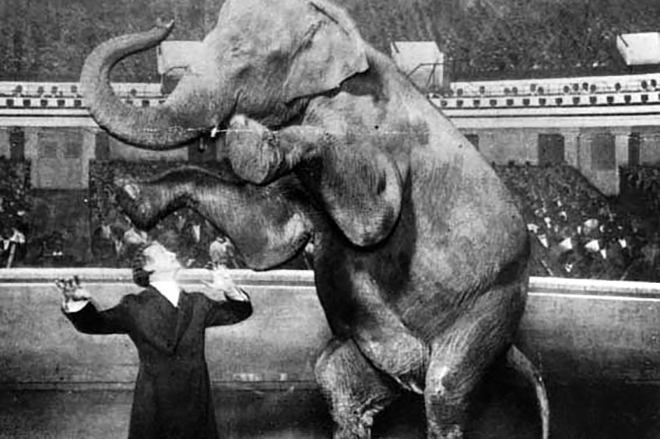 Harry Houdini with elephant