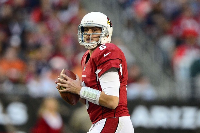 Brian Hoyer, Steelers and Cardinals