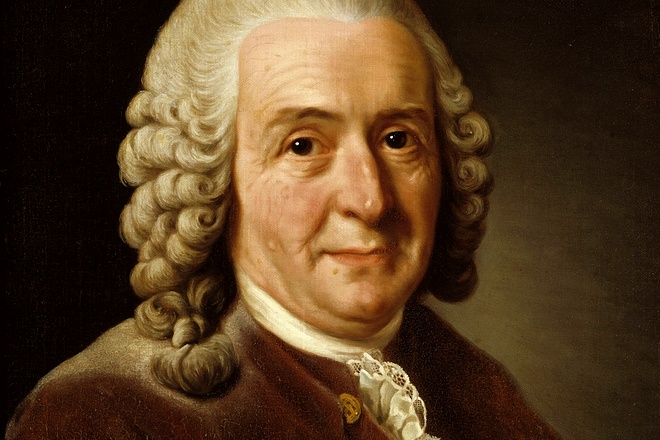 Carl Linnaeus’s portrait