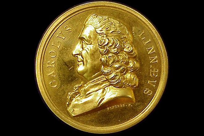 Carl Linnaeus medal