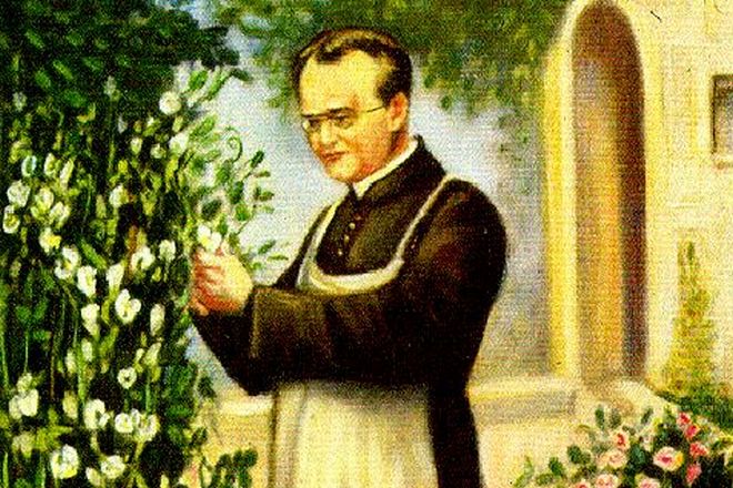 The botanist Gregor Mendel