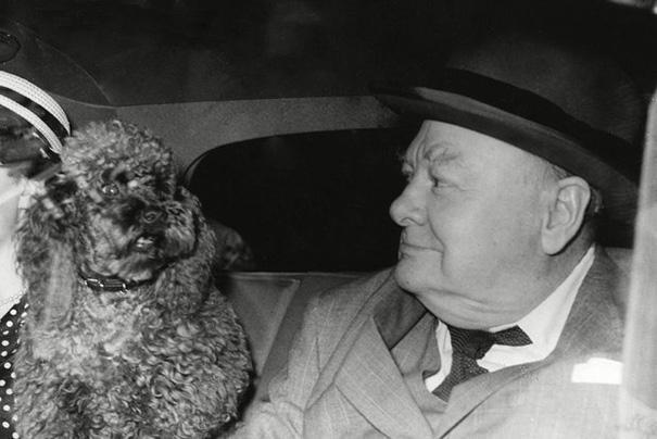 Winston Churchill and his poodle Rufus