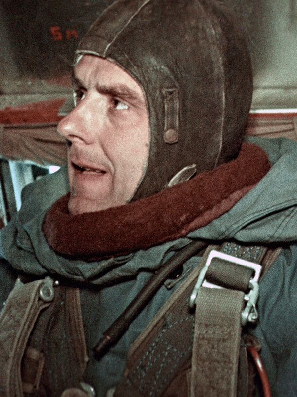 Cosmonaut Vladimir Komarov