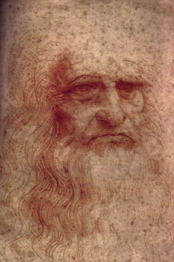The portrait of Leonardo da Vinci