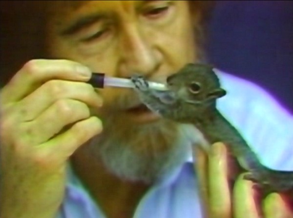 Bob Ross and his squirrel Peapod